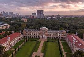 RICE UNIVERSITY
