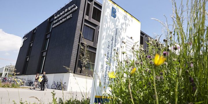 Bern University of Applied Sciences